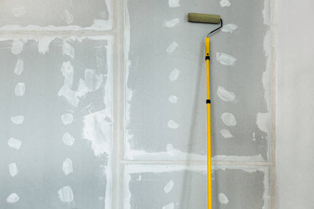 Best Black Mold Removal  in Grosse Pointe Woods, MI