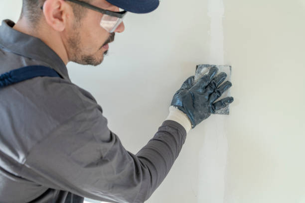 Best Water Damage & Mold Remediation  in Grosse Pointe Woods, MI