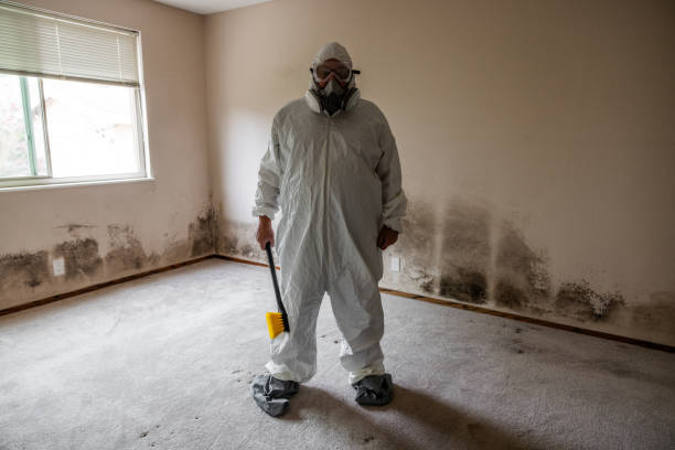 Best Mold Prevention Services  in Grosse Pointe Woods, MI